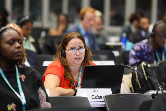 Lourdes Coya de la Fuente, Cuba