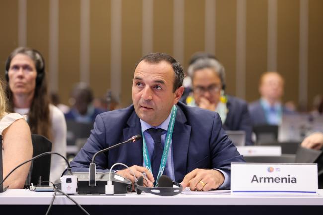 Davit Knyazyan, Armenia