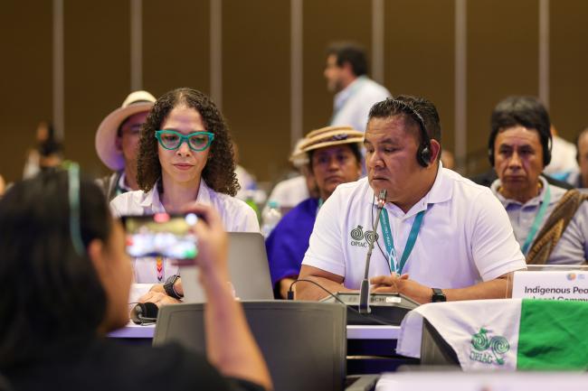 Carlos Alberto Gaitán (right), speaking for the International Indigenous Forum on Biodiversity
