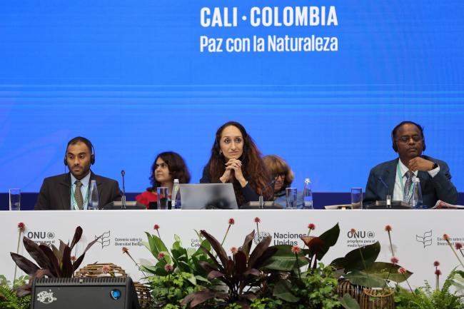 From L-R: Taimur Abdullah Al Said, Oman; Nozanin Rasulova, Tajikistan; and SBI 5 Chair Chirra Achalender Reddy, India