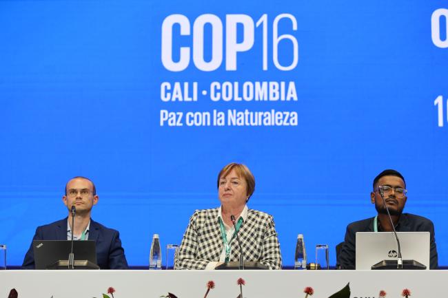 From L-R: Nicolas Laurent, France; Angela Lozan, Moldova; and Krishneel Nand, Fiji