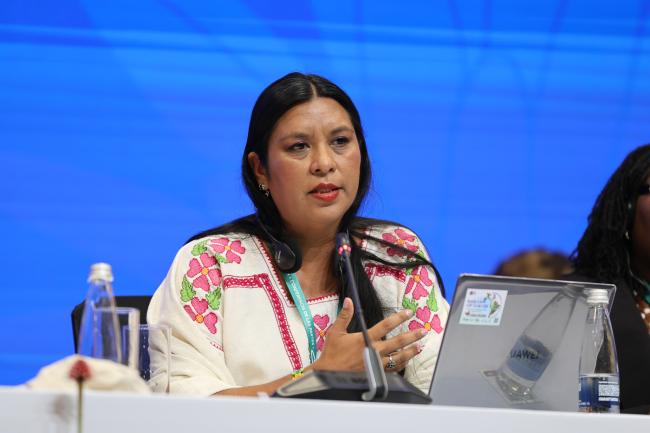 Claudia Valeria Sánchez Flores, Indigenous Peoples and local communities