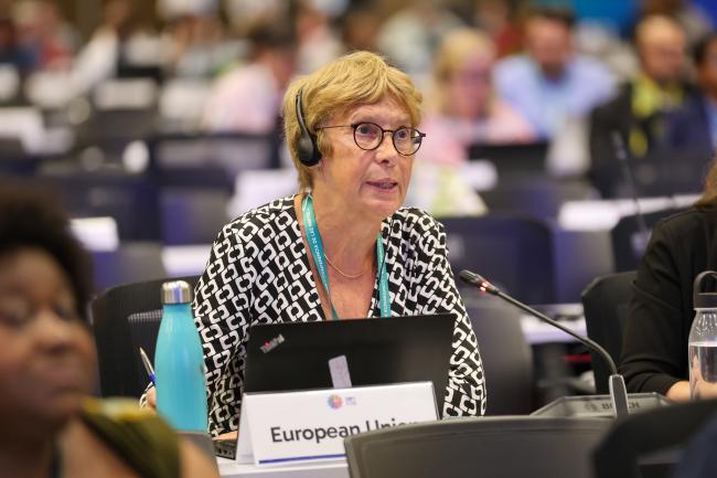 Anne Teller, EU