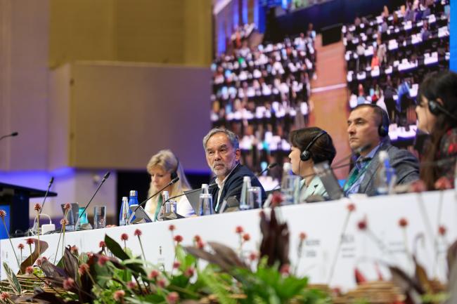 Mauricio Cabrera Leal, Colombia