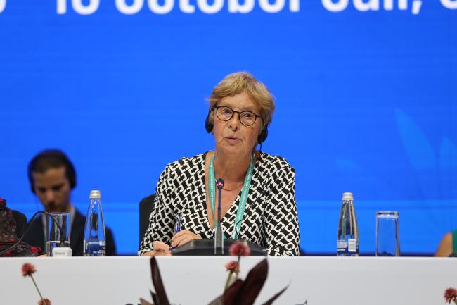 Anne Teller, EU