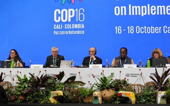 From L-R: Jillian Campbell, CBD Secretariat; David Cooper, CBD Deputy Executive Secretary; SBI 5 Secretary Neil Pratt; SBI 5 Chair Chirra Achalender Reddy, India; and Astrid Schomaker, Executive Secretary, CBD