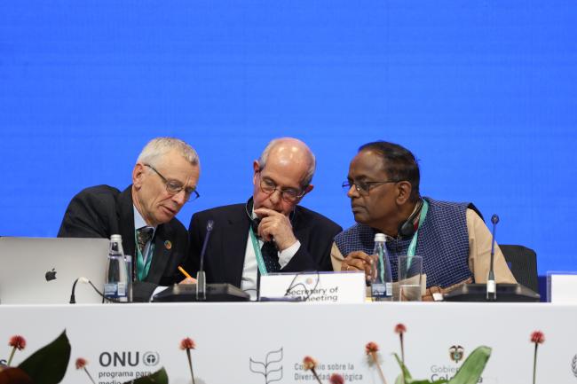 From L-R: David Cooper, CBD Deputy Executive Secretary; SBI 5 Secretary Neil Pratt; and SBI 5 Chair Chirra Achalender Reddy, India