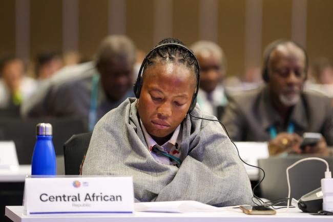 Plenary Session