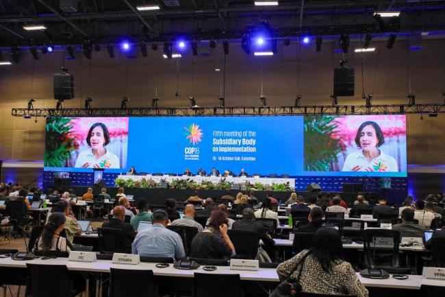 View of the room during the opening session