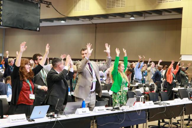 Delegates warming up for the Forum