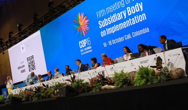 View of the dais during the session