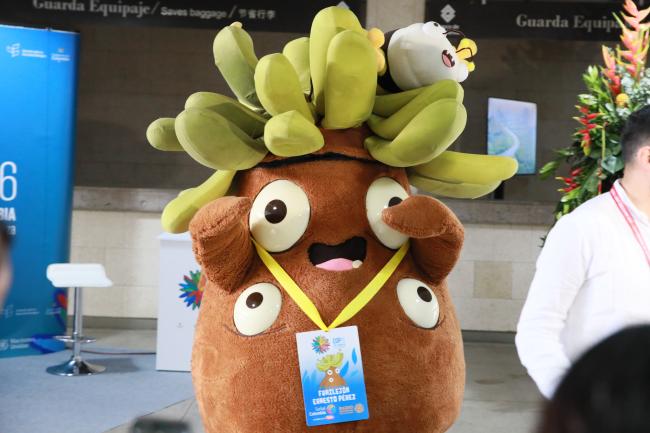 Mascot