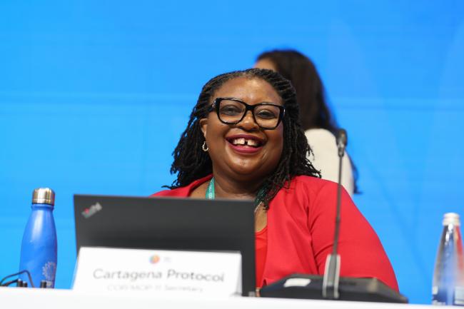 Cartagena Protocol MOP 11 Secretary Wadzanayi Goredema-Mandivenyi
