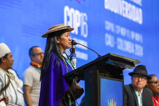 Opening Plenary