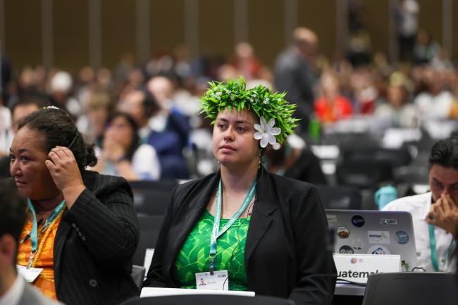 Jessie Nicholson, Cook Islands