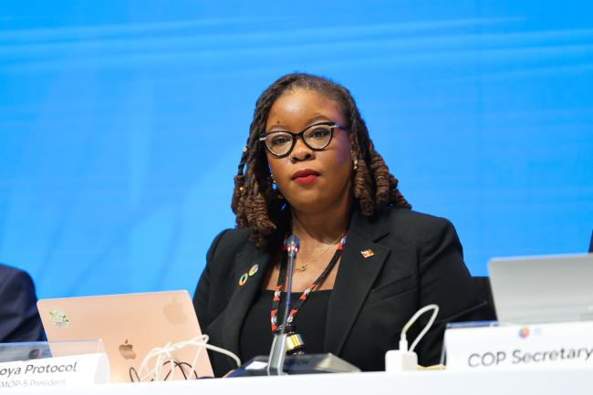 Nagoya Protocol MOP 5 President Nneka Nicholas, Antigua and Barbuda