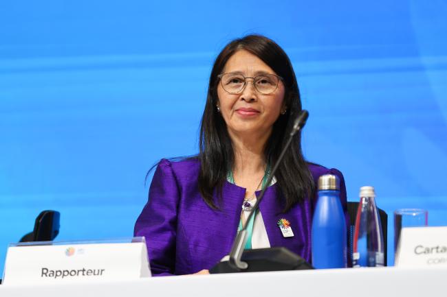 COP 16 Rapporteur Somaly Chan, Cambodia