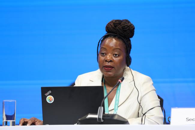 Kwenda Mweene, CBD Secretariat