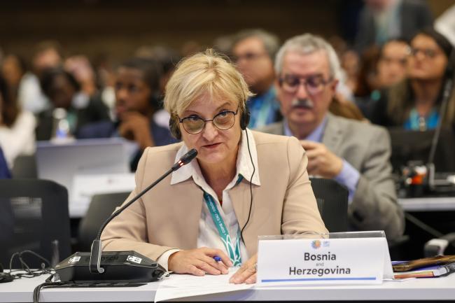 Senka Barudanović, Bosnia and Herzegovina
