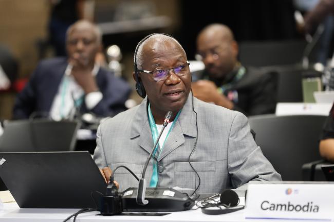 Rigobert Ntep, Cameroon
