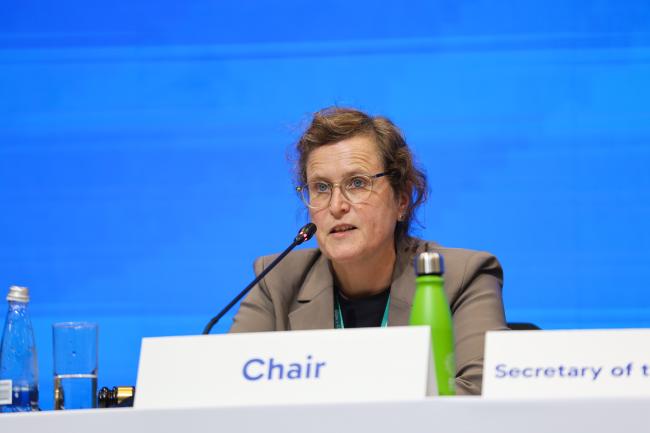 Working Group I Chair Charlotta Sörqvist, Sweden