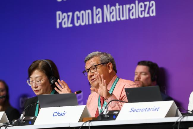 Working Group II Chair Hesiquio Benítez Díaz, Mexico