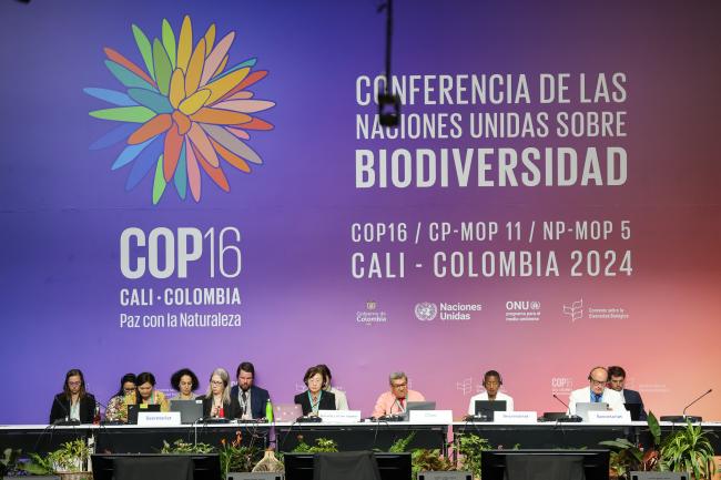 View of the dais during Working Group II