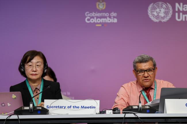 Working Group II Secretary Jihyun Lee, and Working Group II Chair Hesiquio Benítez Díaz, Mexico