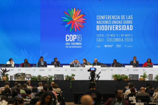 View of the dais during Working Group I