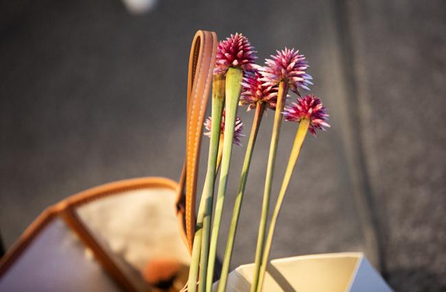COP 16 Flower -Urgent Action for Implementation - 29 Oct 2024