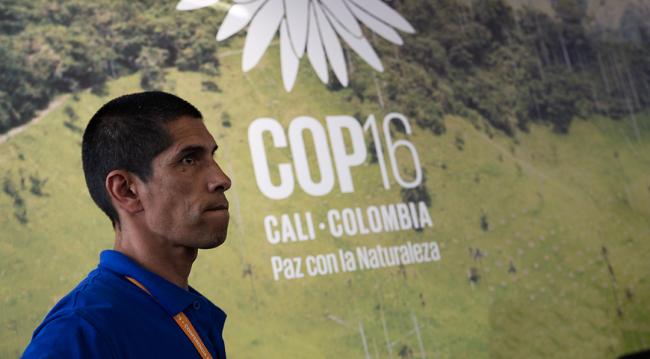 COP16 Cali - Safeguarding Andean Wetlands - 22 Oct2024