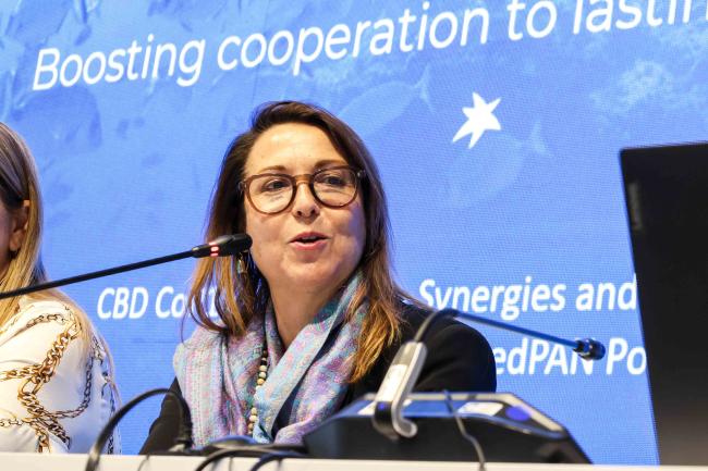 Carole Martínez, MedPan in Synergies Panel - Ocean Day -27oct24-photo