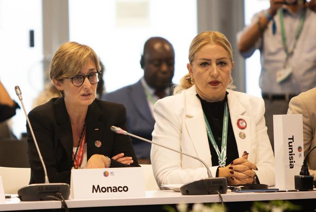 Céline Caron-Dagioni Minister of Public Works, Environment and Urban Development, Monaco - Synergies between biodiversity and climate change- 30 Oct 2024