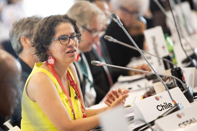 Chile -Urgent Action for Implementation - 29 Oct 2024