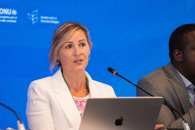Christina Supples, Senior Project Manager, GEF Global Biodiversity Framework, UNDP