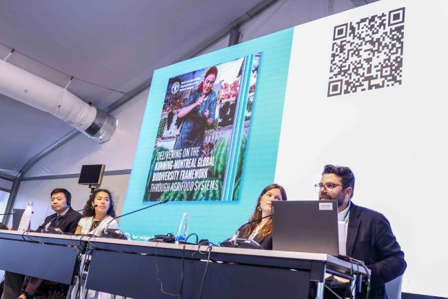 Christopher Pereira, FAO, presenting the report Delivering on the KM GBF through agrifood transformation - Food Day -28oct24-photo