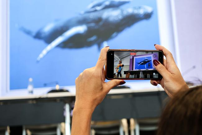 Connected Ocean - Ocean Day -27oct24-photo
