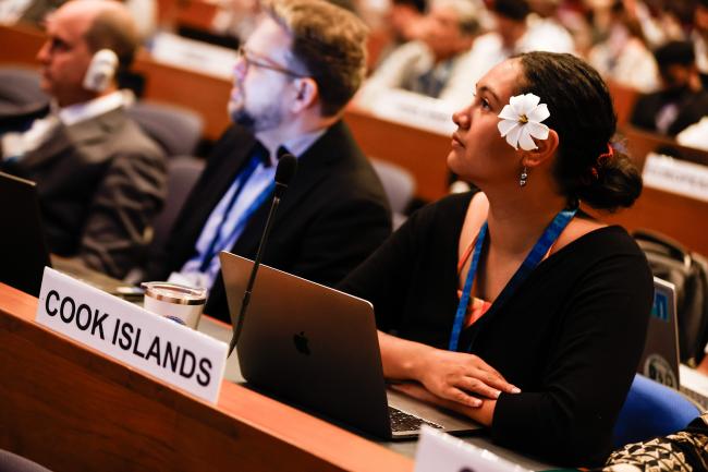 Cook Islands_montreal-protocol-ozone-mop36_27Oct2024_photo.jpg