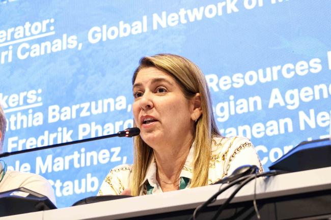 Cynthia Barzuna, World Resources Institute in Synergies Panel - Ocean Day -27oct24-photo