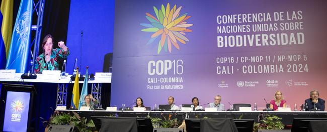 Dais - Solutions for the Implementation of Synergies - 25 Oct2024