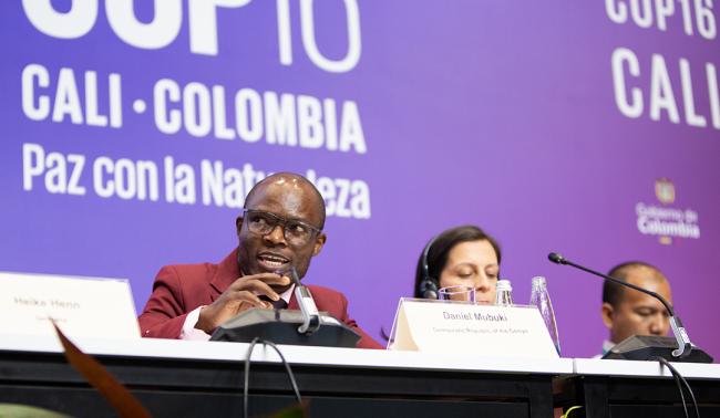 Daniel Mukubi, Ministry of Environment and Sustainable Development, Democratic Republic of Congo (DRC) - Solutions for the Implementation of Synergies - 25 Oct2024.jpg