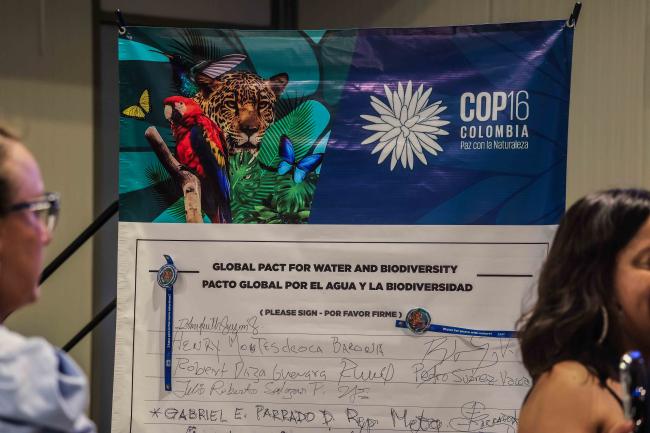 During the reception paticipants were asked to sign the XXX statement - Forest and Water -24oct24-photo