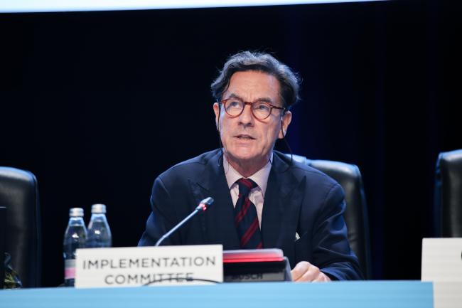 Implementation Commitee Chair Attila Tanzi