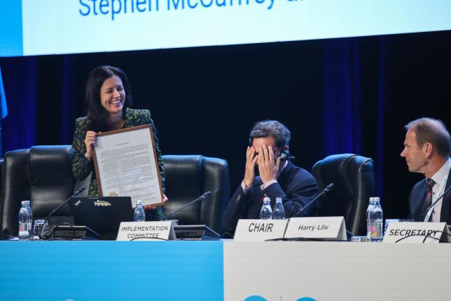 Implementation Commitee Chair Attila Tanzi was thanked and congratulated for his work 