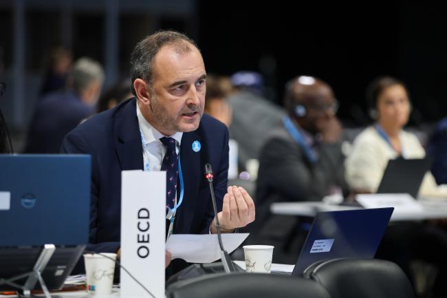Matthew Griffiths, Organisation for Economic Co-operation and Development (OECD)