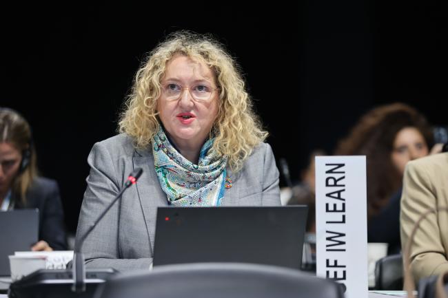 Konstantina Toli, Global Environment Facility (GEF)   