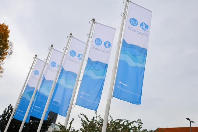 Water Convention MOP 10 flags