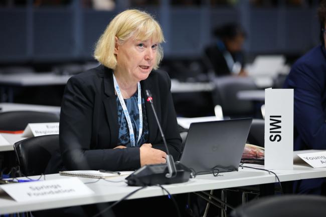 Ruth Mathews, Stockholm International Water Institute (SIWI) 