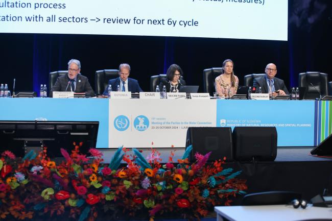 View of the panel 
