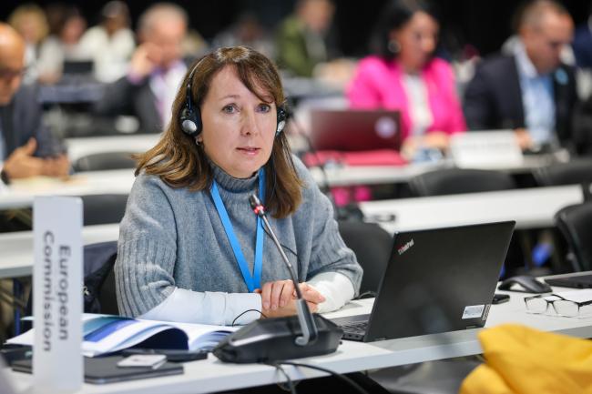 Dagmar Behrendt Kaljarikova, EU 